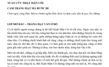 TUẦN CỬU NHẬT MÂN CÔI - CẦM TRÀNG HẠT MÀ BƯỚC ĐI