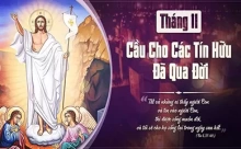 Thư tháng 11: Cầu Cho các Linh Hồn