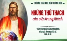 Thứ Năm 23/10/2025 – Thứ Năm tuần 29 thường niên