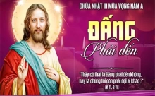 Chúa Nhật 14/12/2025 – CHÚA NHẬT 3 MÙA VỌNG năm A