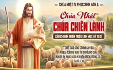 Chúa nhật 26/04/2026 - Chúa nhật 4 Phục sinh năm A - Chúa Nhật Chúa Chiên Lành