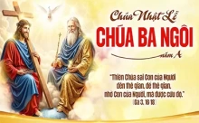 Chúa Nhật 31/05/2026 – CHÚA NHẬT 9 THƯỜNG NIÊN – CHÚA BA NGÔI năm A
