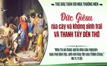 Thứ Sáu 29/05/2026 – Thứ Sáu tuần 8 thường niên