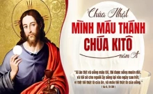 Chúa Nhật 07/06/2026 – Lễ Mình Máu Thánh Chúa Kitô năm A