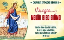 Chúa Nhật 12/07/2026 – CHÚA NHẬT 15 THƯỜNG NIÊN năm A