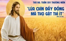 Thứ Ba 07/07/2026 – Thứ Ba tuần 14 thường niên