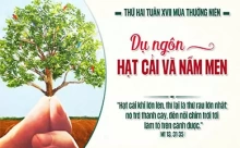 Thứ Hai 27/07/2025 – Thứ Hai tuần 17 thường niên