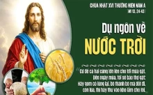 Chúa Nhật 19/07/2026 – CHÚA NHẬT 16 THƯỜNG NIÊN năm A