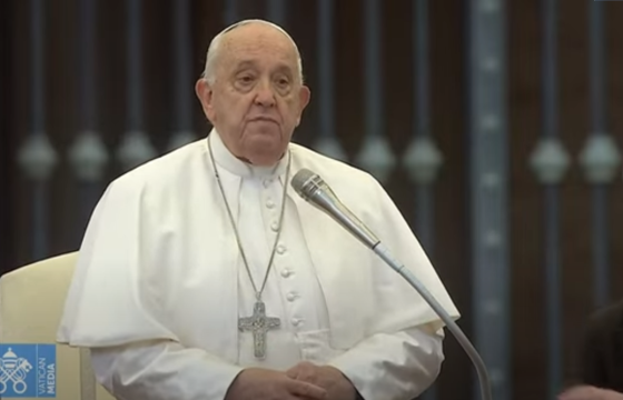 Tiếp Kiến chung 23/10: Hãy cầu khẩn Chúa Thánh Thần bảo vệ hôn nhân và con cái của bạn