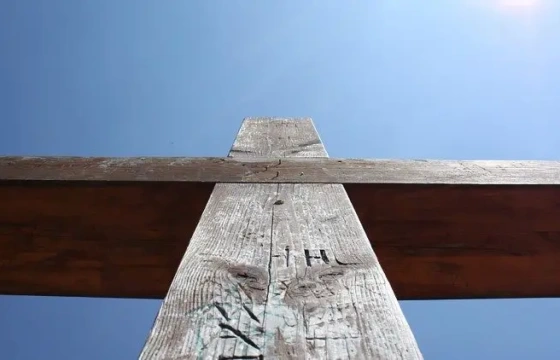 Thống kê về Giáo hội Công giáo năm 2024