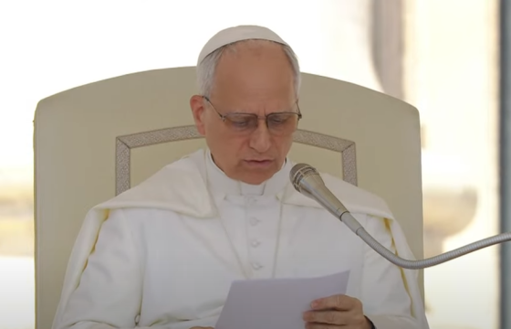 Tiếp kiến chung ngày 4/6/2025 - ĐTC Lêô XIV: Đáp lại tiếng Chúa kêu gọi chúng ta sẽ tìm thấy ý nghĩa cho cuộc sống