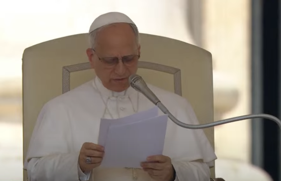 Tiếp kiến chung 11/6/2025 - ĐTC Lêô XIV: Không có tiếng kêu cầu nào mà Thiên Chúa không nghe thấy