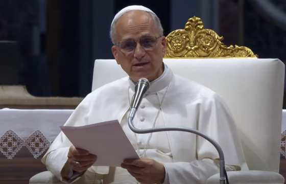 Tiếp kiến Năm Thánh (14/6): Thân xác của Đức Giêsu cần được đón nhận và chiêm ngắm nơi mỗi người anh chị em, nơi mọi thụ tạo