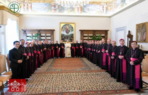 Ad limina 2026 - ngày V: Viếng mộ Thánh Phêrô và yết kiến Đức Thánh cha Lêô XIV