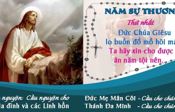 Thứ ba 21-05-2024 - NĂM SỰ THƯƠNG