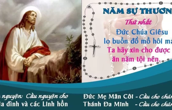 Thứ ba 28-05-2024 - NĂM SỰ THƯƠNG