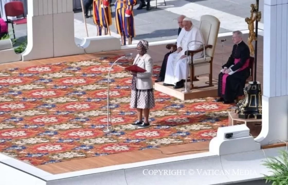 Tiếp kiến chung (29/5): Đức Thánh Cha bắt đầu loạt bài giáo lý về Thánh Thần và Hiền Thê