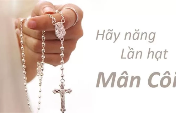 Siêng năng lần hạt Mân Côi Tôn sùng Trái tim Mẹ