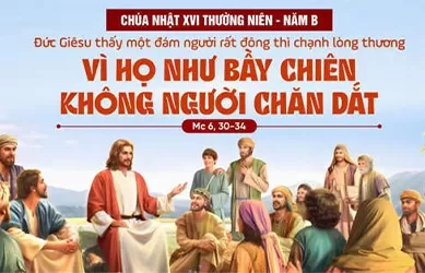 Chúa Nhật 21/07/2024 – CHÚA NHẬT 16 THƯỜNG NIÊN năm B