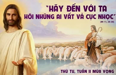 Thứ năm 18/07/2024 – Thứ Năm tuần 15 thường niên