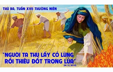 Thứ ba 30/07/2024 – Thứ Ba tuần 17 thường niên