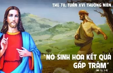 Thứ tư 24/07/2024 – Thứ Tư tuần 16 thường niên