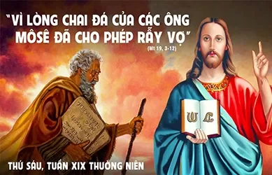 Thứ sáu 16/08/2024 – Thứ Sáu tuần 19 thường niên