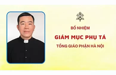 Bổ nhiệm Giám mục Phụ tá tổng giáo phận Hà Nội