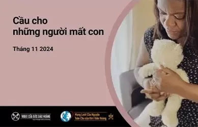 Ý cầu nguyện của Đức Thánh Cha tháng 11/2024: Cầu cho những người mất con