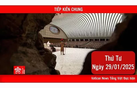 Tiếp kiến chung 29/1: Thánh Giuse biến giấc mơ thành hiện thực