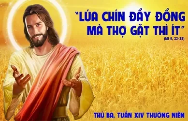 Thứ Ba 08/07/20250 – Thứ Ba tuần 14 thường niên