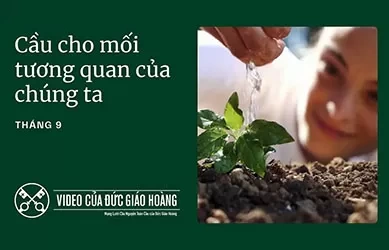 Ý cầu nguyện của ĐTC Lêô XIV trong tháng 9: Cầu cho tương quan của chúng ta với toàn thể thụ tạo