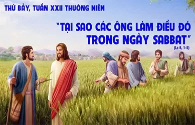 Thứ Bảy 06/09/2025 – Thứ Bảy đầu tháng, tuần 22 thường niên
