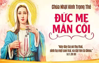 Chúa Nhật 05/10/2025 – CHÚA NHẬT 27 THƯỜNG NIÊN năm C - Kính trọng thể Lễ ĐỨC MẸ MÂN CÔI