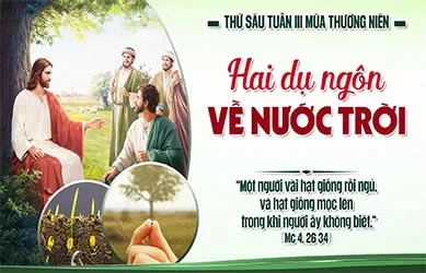 Thứ S&aacute;u 30/01/2026 &ndash; Thứ S&aacute;u tuần 3 thường ni&ecirc;n