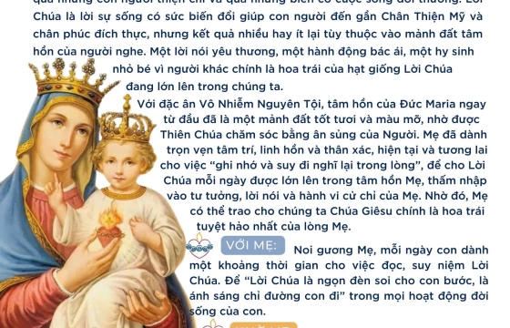 "...Những người được gieo v&agrave;o đất tốt, đ&oacute; l&agrave; những người nghe lời v&agrave; đ&oacute;n nhận, rồi sinh hoa kết quả..."