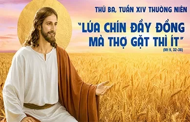 Thứ Ba 07/07/2026 &ndash; Thứ Ba tuần 14 thường ni&ecirc;n