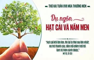 Thứ Hai 27/07/2025 &ndash; Thứ Hai tuần 17 thường ni&ecirc;n